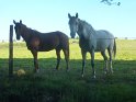 2014-09-15 11-19-48 Sur les rives du Bourdon MBo